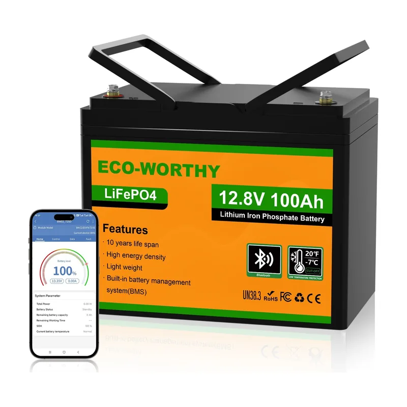 ECO-WORTHY LiFePO4 12V 100Ah con Bluetooth